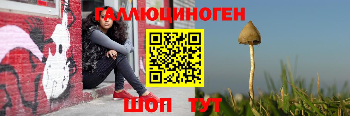Псилоцибиновые грибы мухоморы Ростов Великий