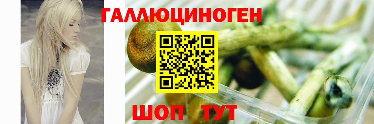 Ростов Великий  Псилоцибиновые грибы Magic Shrooms  хочу   Вход с VPN 